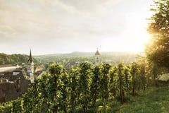 Kanton Schaffhausen mit Blick zum Munot