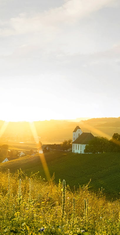 Hintergrundbild Startseite der Schaffhauser Kantonalbank mit Blick über Wilchingen