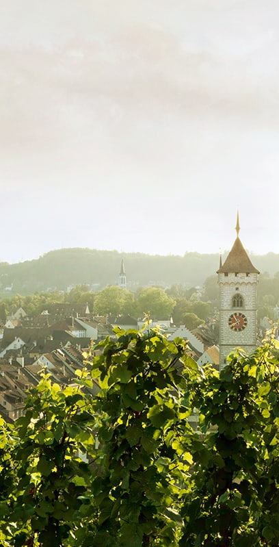 Hintergrundbild Startseite der Schaffhauser Kantonalbank