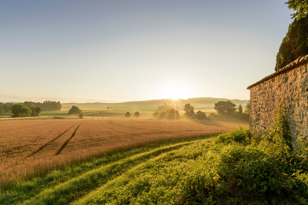Landschafts-Fotographie aus dem Kanton Schaffhausen