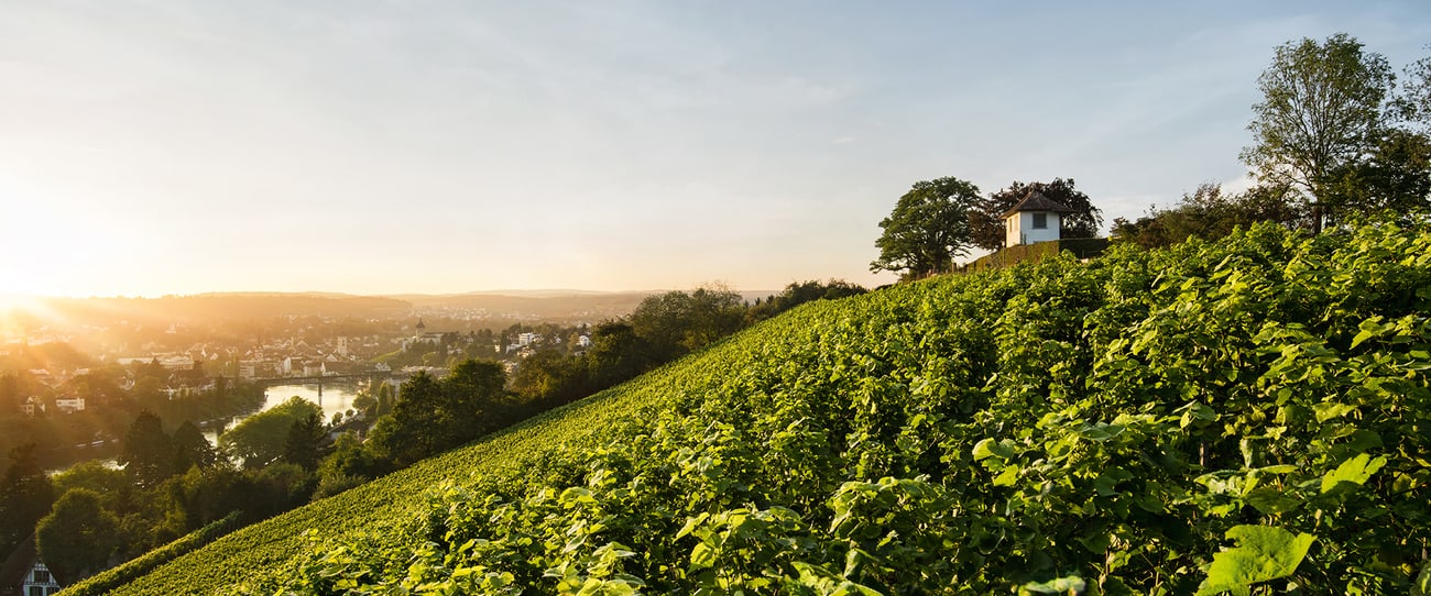 Copyright Shkb.ch (c) Shkb.ch