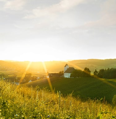 Hintergrundbild Startseite der Schaffhauser Kantonalbank