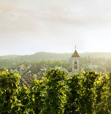 Hintergrundbild Startseite der Schaffhauser Kantonalbank