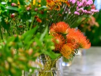 Blumen_Vordergasse_Angebot