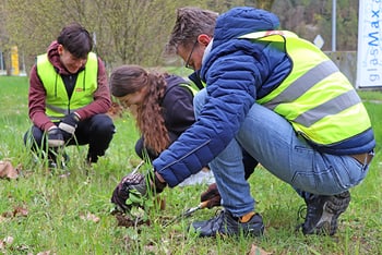 Pro Natura Schaffhausen Neophyten